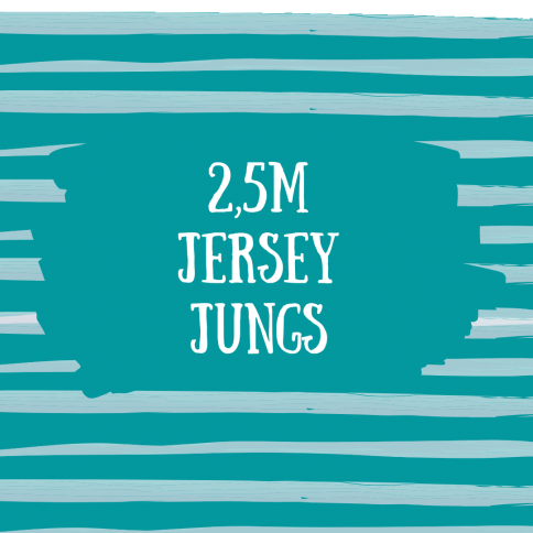 2,5m Motivjersey Jungs