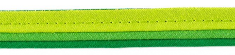 Dreilagige elastische Paspel grün